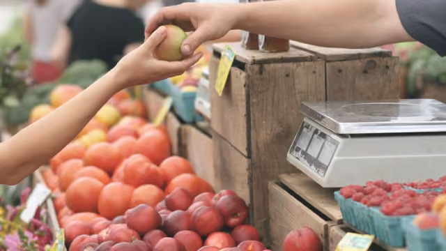 Ollie's Stock Has Lagged Despite Earnings Beats—What's Holding It Back?