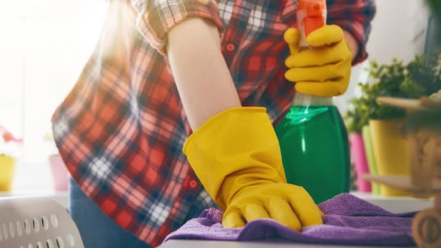 Procter & Gamble vs. Church & Dwight: Which Household Stock Outshines?