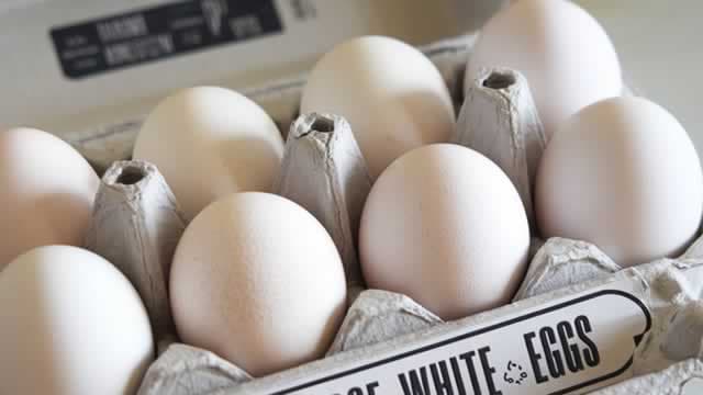 Vital Farms (VITL) Falls More Steeply Than Broader Market: What Investors Need to Know