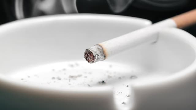 Dividend Harvesting Portfolio Week 244: $24,400 Allocated, $2,706.73 In Projected Dividends