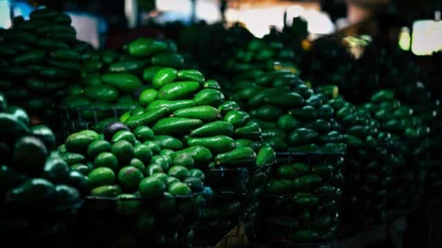 Is Mission Produce (AVO) Outperforming Other Consumer Staples Stocks This Year?