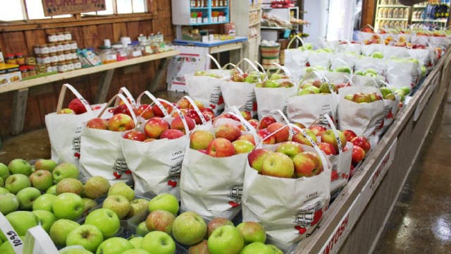 3 Retail Stocks to Buy Now That President Trump's Tariffs Have Been Struck Down by the Supreme Court