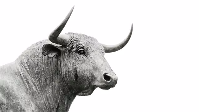 My Income Portfolio-Boosting Returns