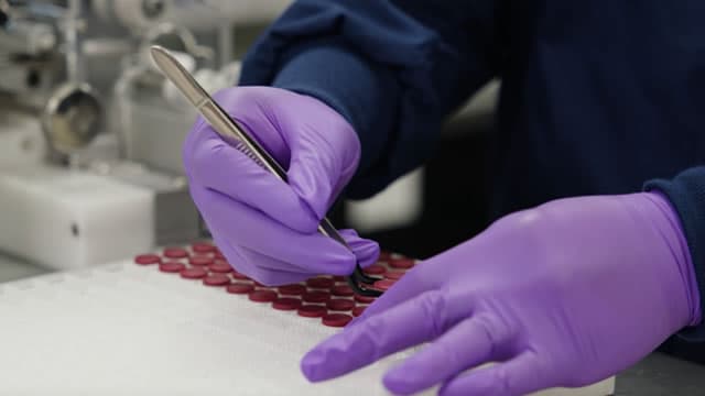 Merck's Calderasib Gets FDA's Breakthrough Therapy Tag for NSCLC