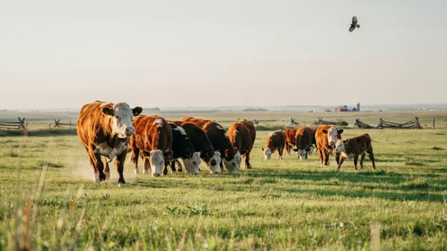 Confirmed screwworm case in Texas sends two biotech stocks higher