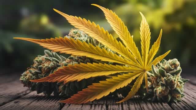 Cannabis Operator CGC Rises 15% in a Month: Time to Buy, Hold or Sell?