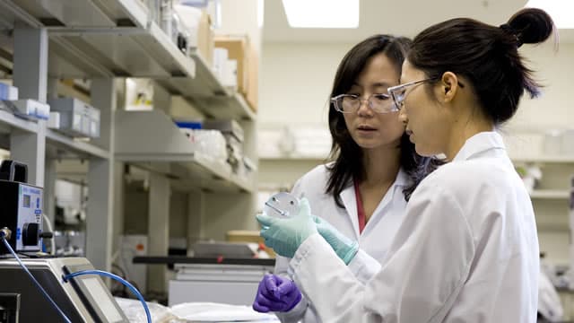 Amgen (AMGN) Stock Sinks As Market Gains: What You Should Know