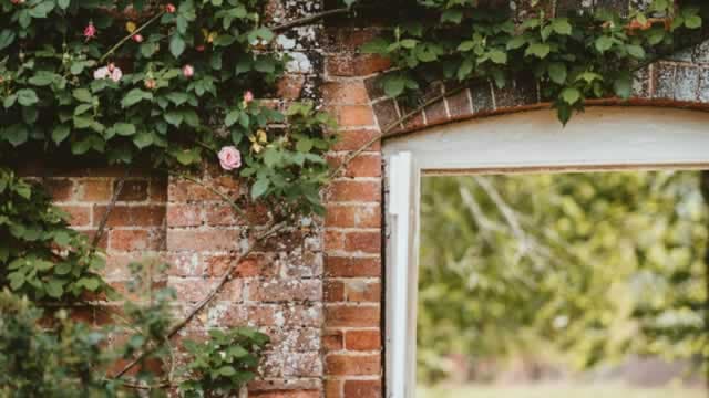 Central Garden (CENTA) Q1 Earnings Top Estimates