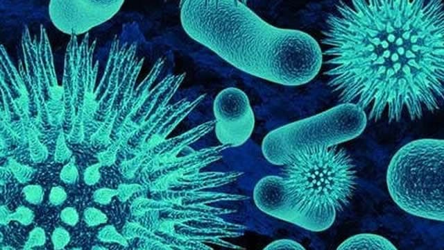 Viridian Therapeutics Is Ready For An Eventful 2026