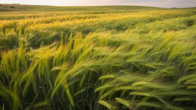 Are Basic Materials Stocks Lagging Intrepid Potash (IPI) This Year?