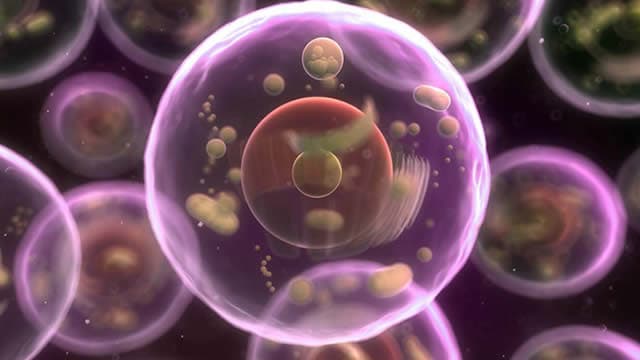 Why Is Microcap Rallybio Stock Trading Higher On Tuesday?