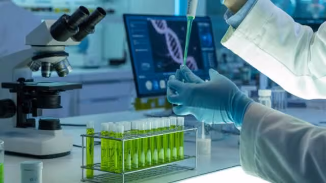 Are Medical Stocks Lagging Compugen (CGEN) This Year?